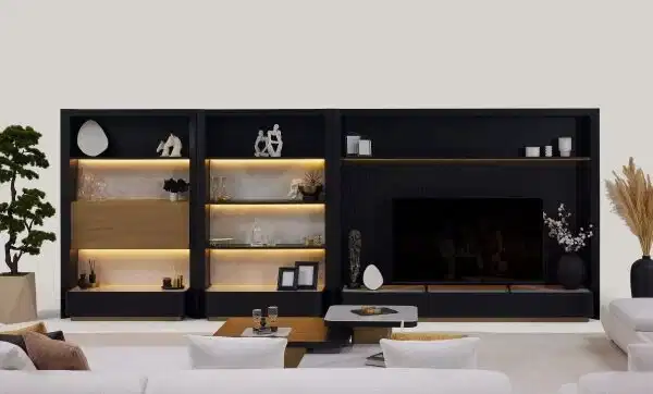 Petra Tv Ünitesi