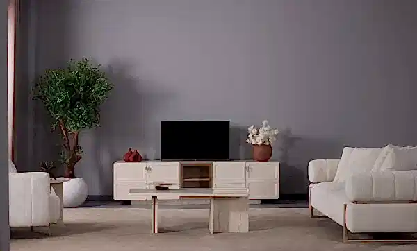 Dante Tv Ünitesi