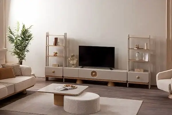 Roma Tv Ünitesi