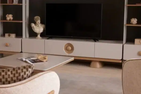 Roma Tv Ünitesi